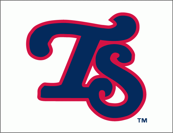 Tennessee Smokies 2010-Pres Cap Logo iron on transfers for clothing